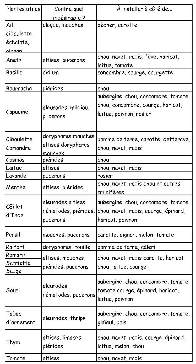 Plantes répulsives