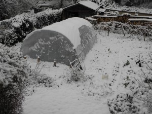 Serre sous la neige