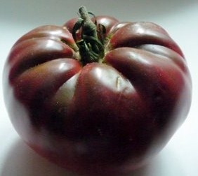 Tomate noire