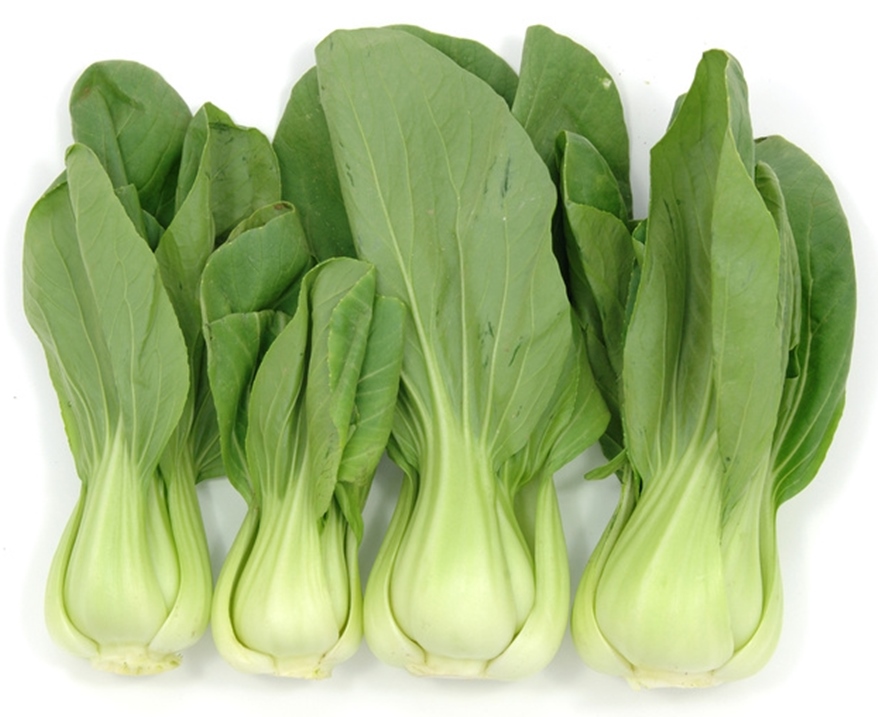 Chou de Chine Pak-choi