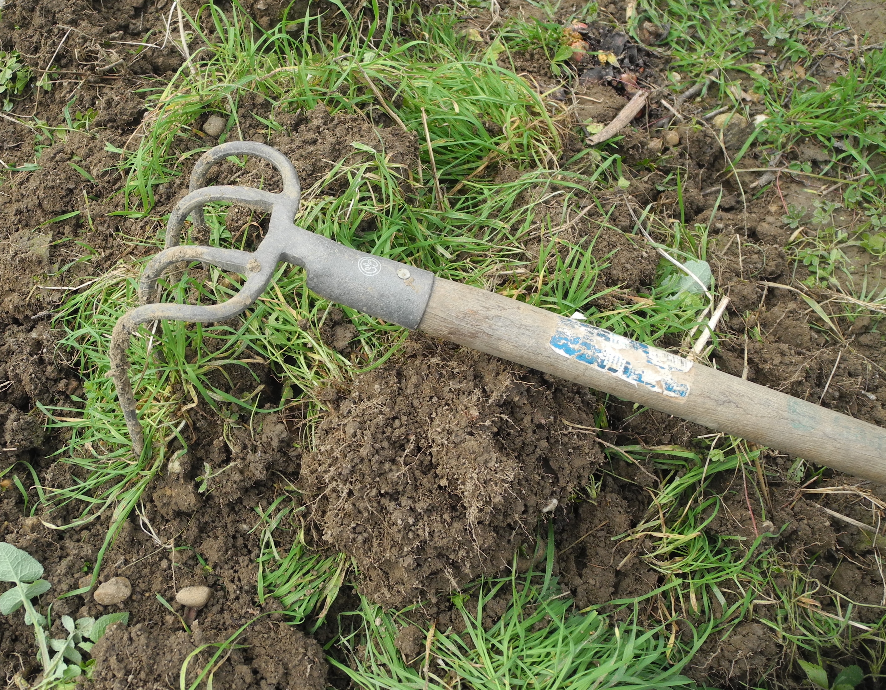 Comment faire ses graines et semences au potager? - Le jardin de Rodolphe