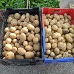 De belles pommes de terre 