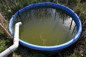 Bac de récupération de l'eau de pluie