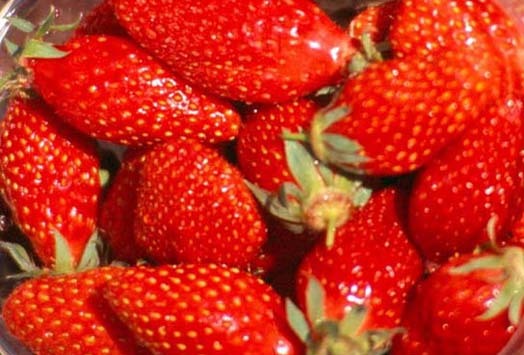 Fraises Gariguettes