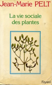 Vie sociale des plantes