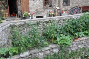 Jardin en terrasse