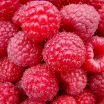 Framboises 