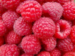 Framboises