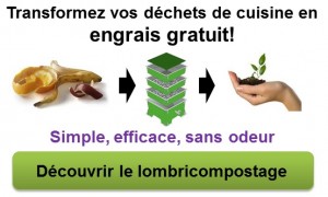 decouvrir-le-lombricompostage