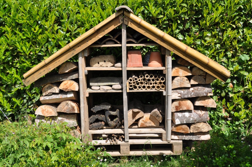 Hôtel à insectes