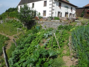 Jardin de Line et Christian dans les Vosges