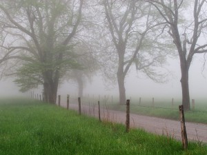 Brume en automne