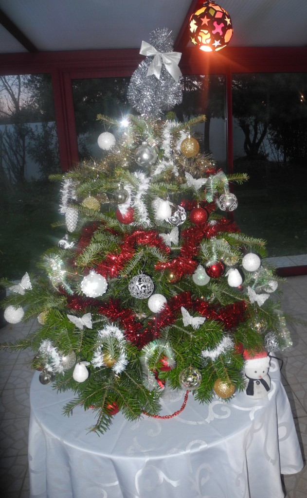 sapin-de-noel-5