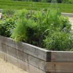 Bac pour les aromatiques