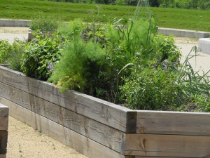 Bac pour les aromatiques