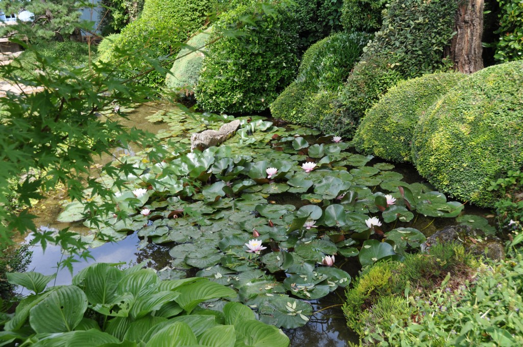 Un jardin zen dans la drôme archives jardiner avec jean paul Zen Créatif à salle manger