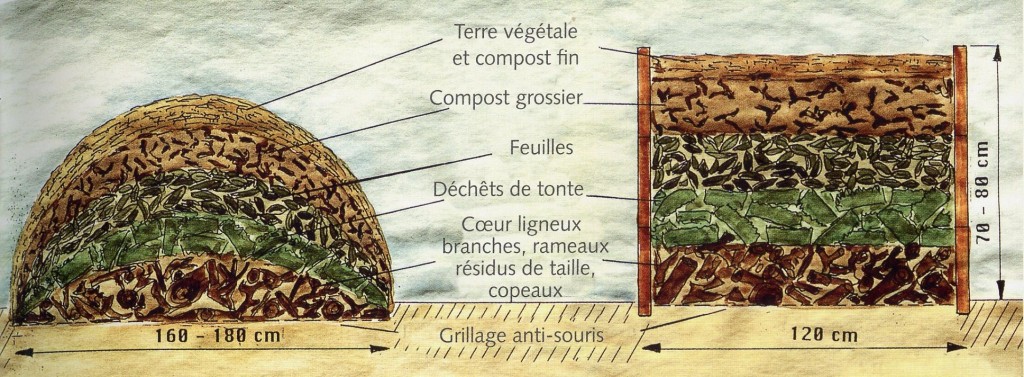 Butte et lasagnes