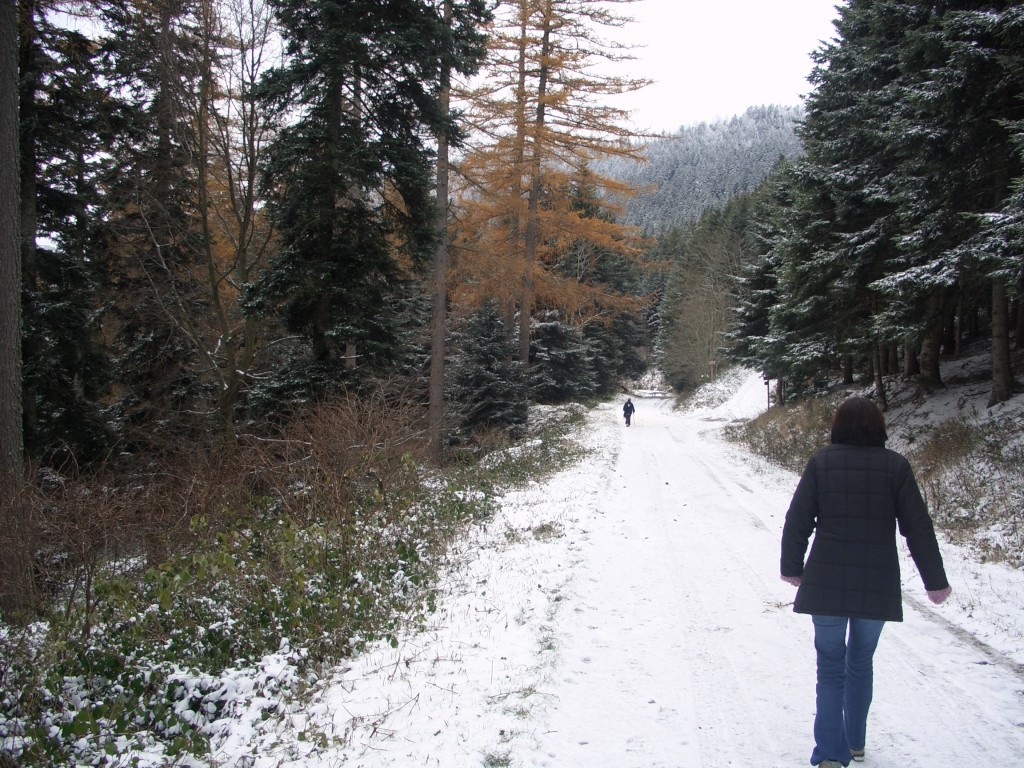 Marche dans la neige