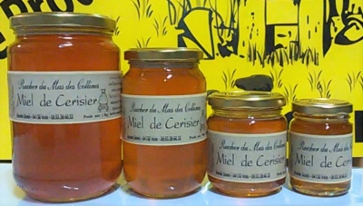 Miel de cerisier