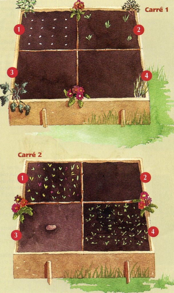 Mini-potager en mars