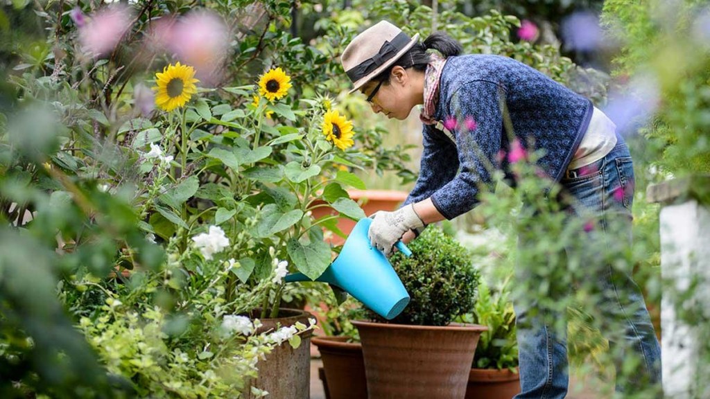 Tous-nos-conseils-pour-prendre-soin-de-votre-jardin