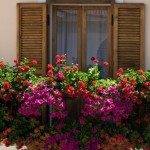 Balcon fleuri