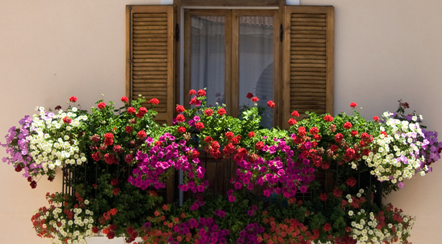 Balcon fleuri