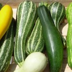 Courgettes 