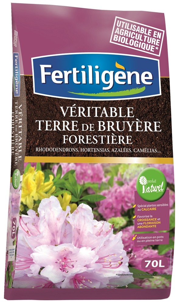 Terre de bruyère forestière