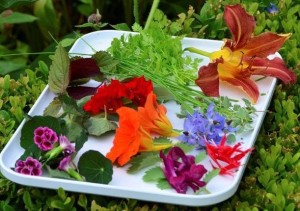 Fleurs du jardin