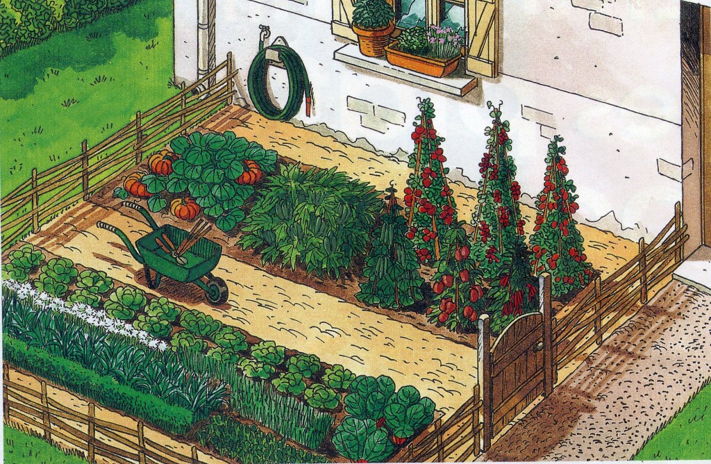 Mini-potager en ville