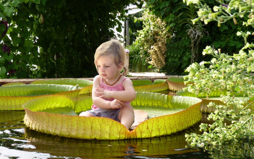 L'enfant et le nénuphar