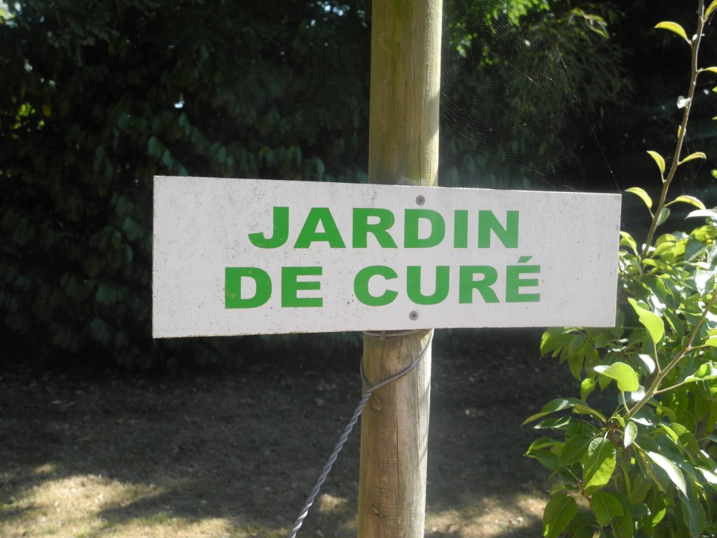 Jardin curé (1)