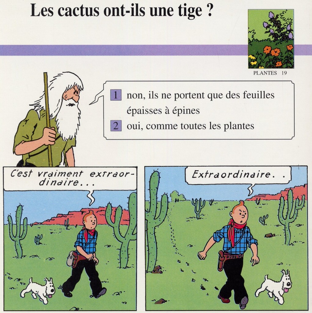 Plantes dans Tintin en Amérique-page 35