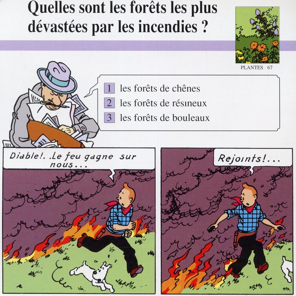 Plantes dans Tintin en Amérique-page 38