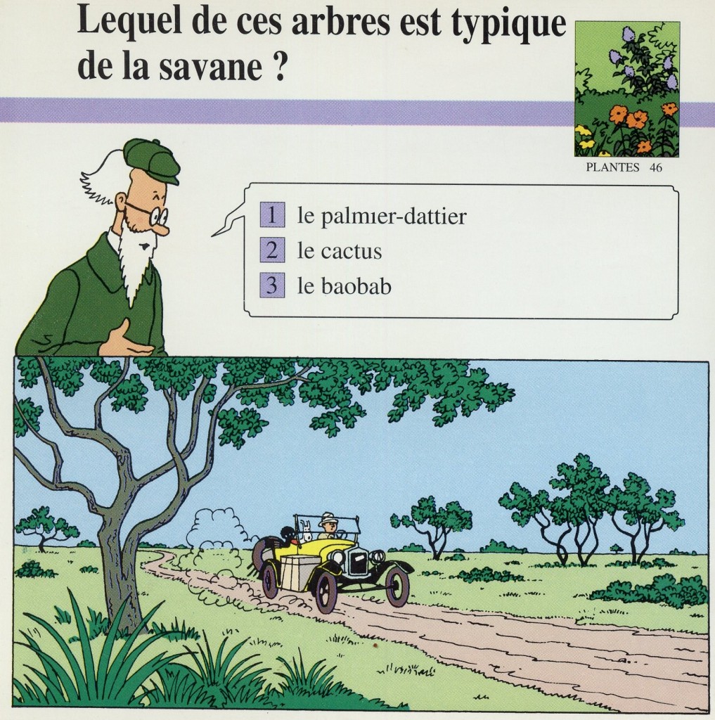 Plantes dans Tintin au Congo- page 19