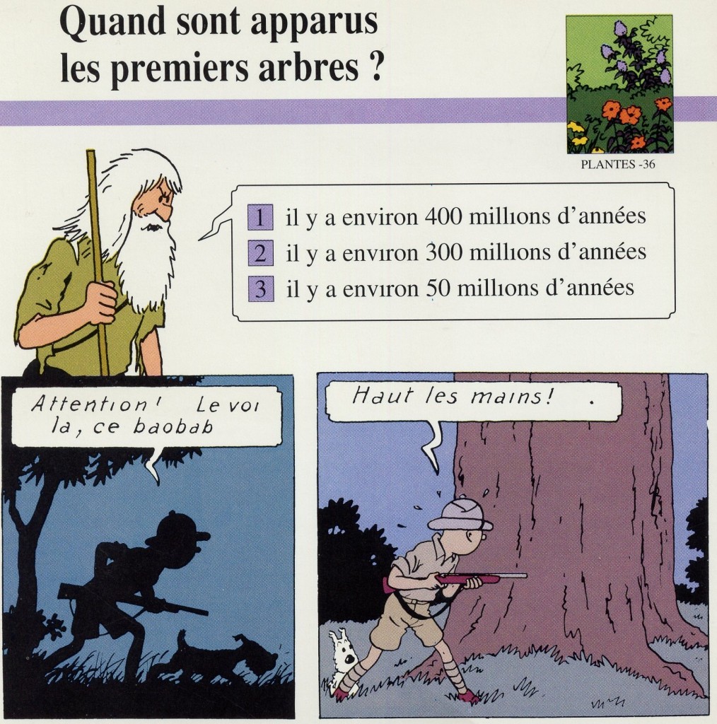 Plantes dans Tintin au Congo-page 32