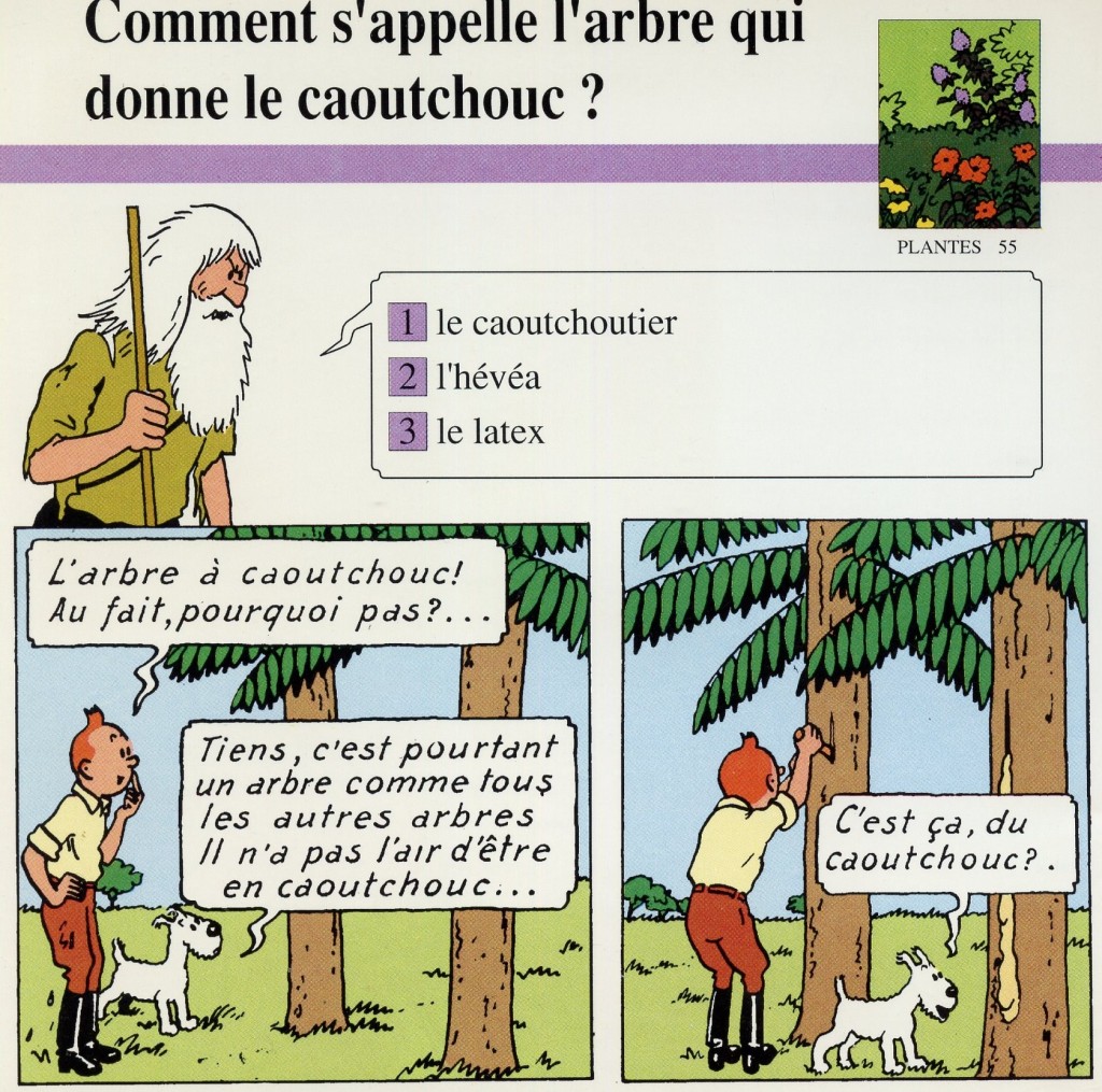 Plantes dans Tintin au Congo page 58