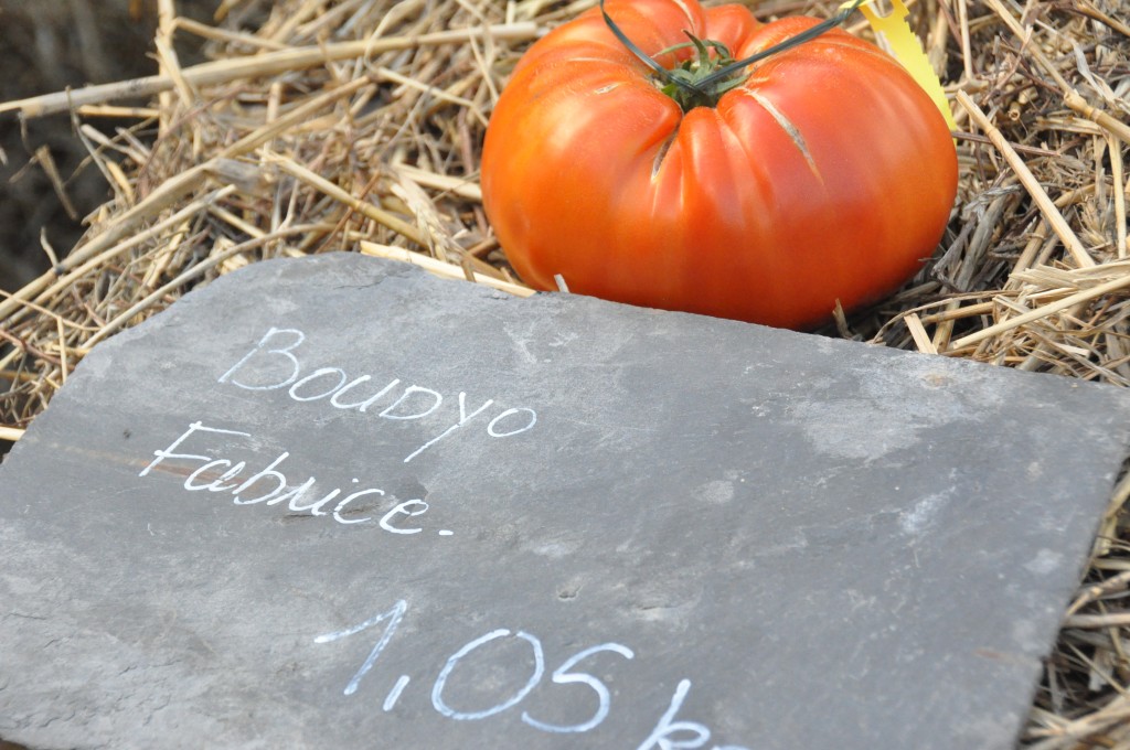 Tomate géante au jardin extraordinaire