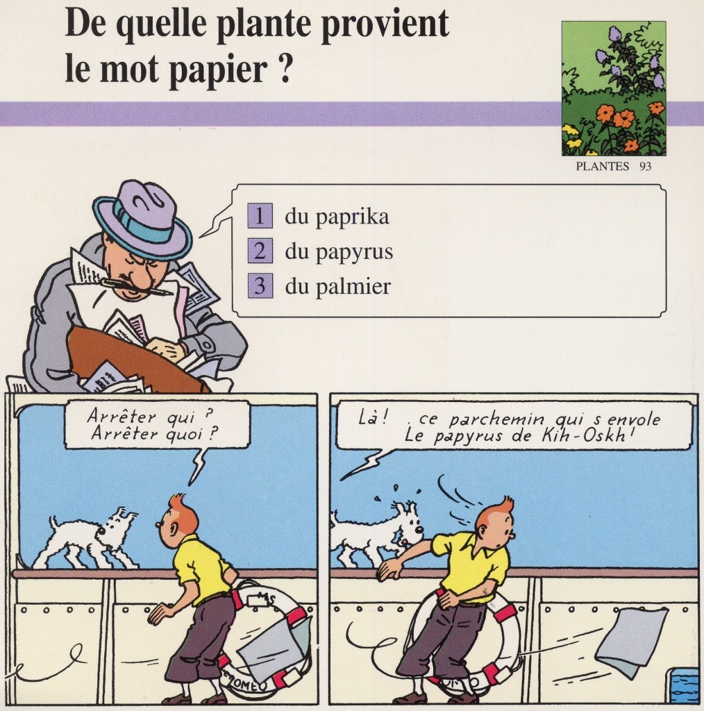 La plante à l'origine du papier