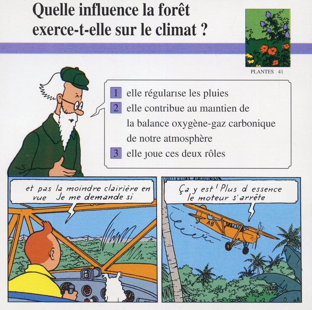 influence des plantes de la forêt