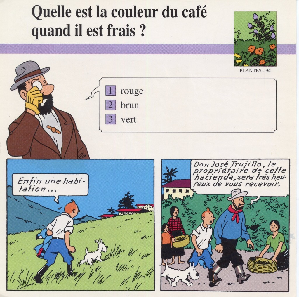 Un des végétaux: le café