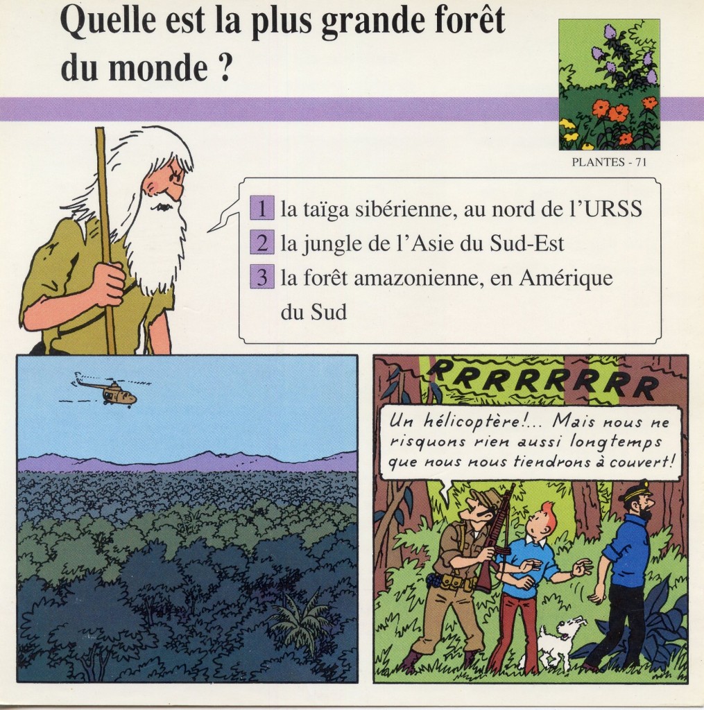 Plantes de la forêt