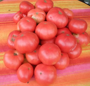 Tomates (2)