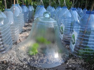 Cloche de protection