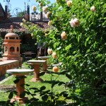 Jardins secrets (226)