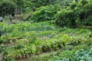 Jardin paillé