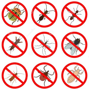 Lutte contre insectes