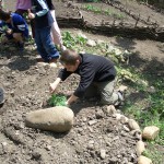 Jardinage école (25)