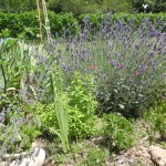 Jardin extraordinaire